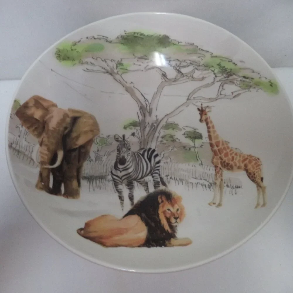 Pier 1 Africa Vintage Hand Painted Earthenware Serving Pasta Bowl Italy 3